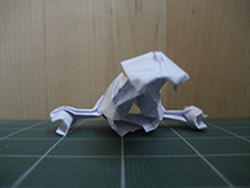 Origami Firefly 6